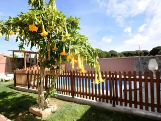 Apartment Conil de la Frontera  25