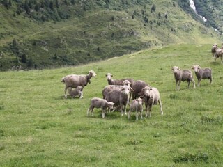 Appartamento Saint Sorlin d Arves Ambiente 9