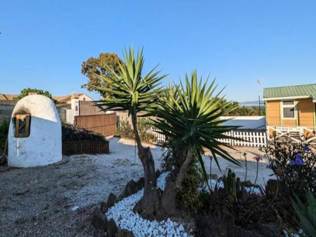 Apartment Vejer de la Frontera  8