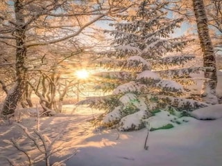 Appartement Samoëns Environnement 5