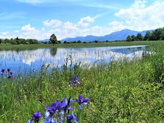 am Chiemseeradweg