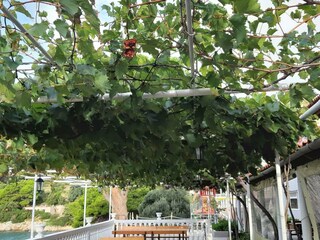 Apartment Saplunara  10