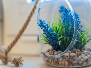 Apartment Cavtat  13