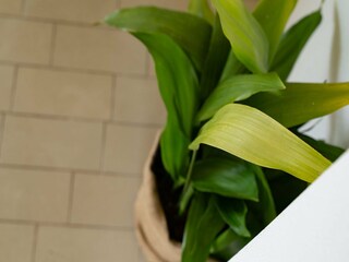 Appartement Molunat  40