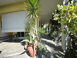 Ferienhaus Ghiffa Außenaufnahme 6