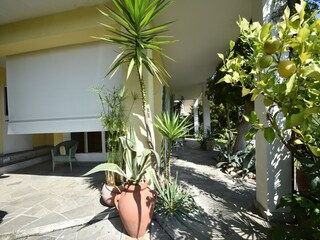 Holiday house Ghiffa Outdoor Recording 4