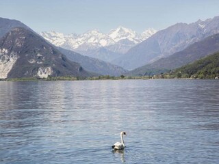 Casa per le vacanze Ghiffa Ambiente 31