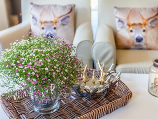 Ferienhaus Zingst Ausstattung 6