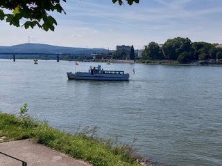 Der Rhein ein paar Meter entfernt