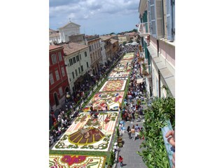 Vakantieappartement Genzano di Roma Omgeving 35