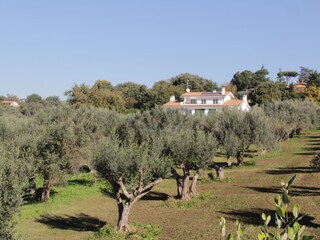Vakantieappartement Genzano di Roma Buitenaudio-opname 2