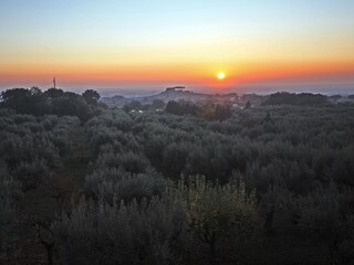 Appartement de vacances Genzano di Roma Environnement 29