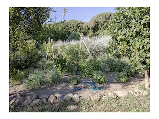 Der Kräutergarten für unsere Gäste
