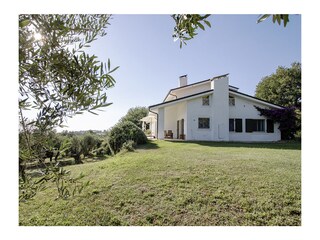 Das Ferienhaus im Grünen