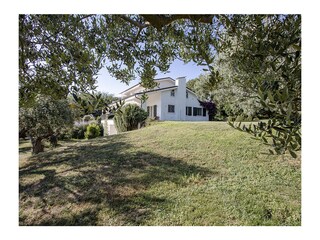 Apartamento de vacaciones Genzano di Roma Grabación al aire libre 11