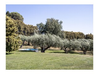 Appartamento per vacanze Genzano di Roma Registrazione all'aperto 14