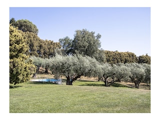 Vakantieappartement Genzano di Roma Buitenaudio-opname 14