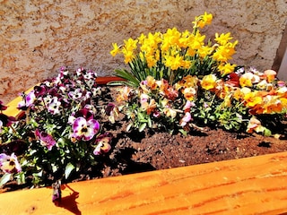 Casa per le vacanze Muhr Registrazione all'aperto 6