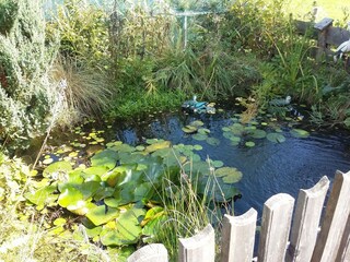 Maison de vacances Predlitz Enregistrement extérieur 9