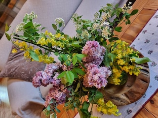 Ferienhaus Predlitz  38