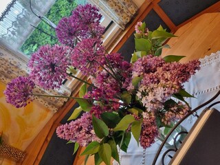 Maison de vacances Predlitz  36