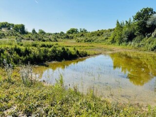 Appartamento Nieuwpoort Ambiente 30