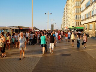Apartment Koksijde Umgebung 30