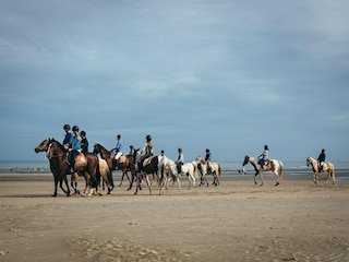 Apartment Koksijde Umgebung 28