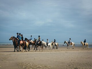 Appartamento Koksijde Ambiente 28