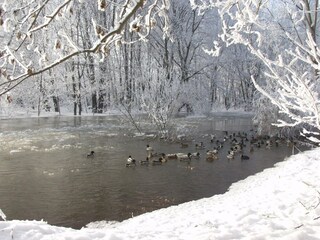 Apartamento Stassfurt Entorno 35