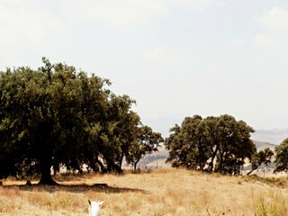 Holiday cottage Villanueva de la Concepción Environment 35