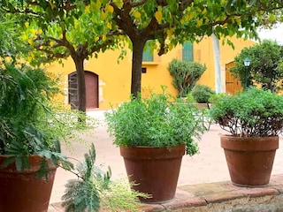 Landhaus Vilaplana Außenaufnahme 2