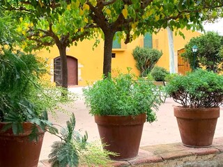 Casa de campo Vilaplana Grabación al aire libre 3