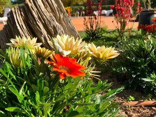 Landhaus Vilaplana  30