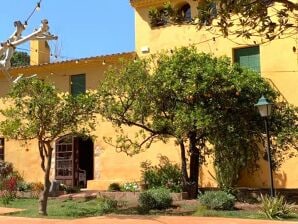 Landhaus Herrenhaus in Riudoms mit privatem Pool - Vilaplana - image1