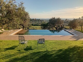 Swimming pool in the olive grove