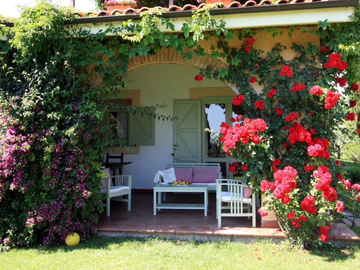 Veranda mit Rosen