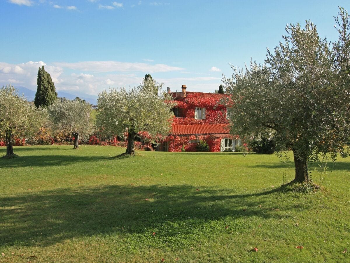 Garten rund um Ferienwohnung Olandro