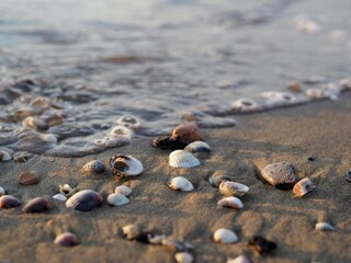 Holiday house Porto Santa Margherita Environment 27