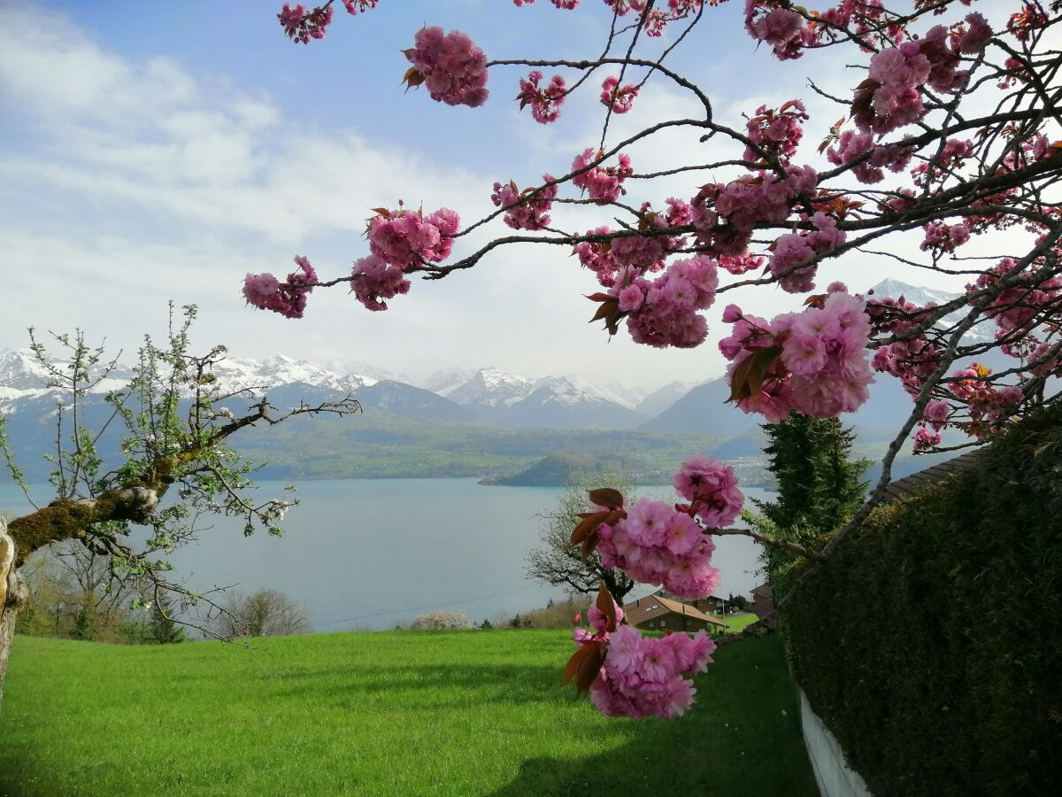 Blick auf den See