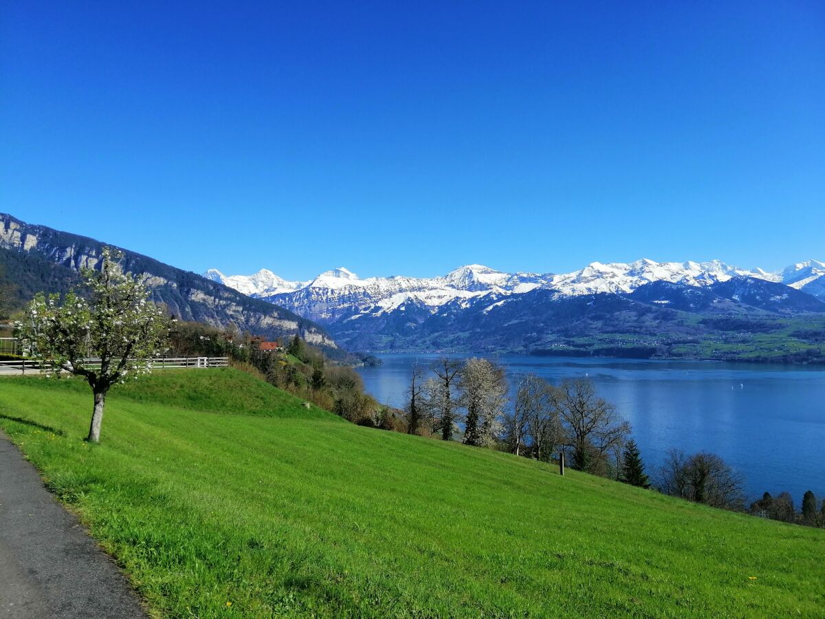 Jungfrau Mönch und Eiger