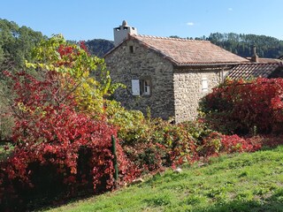 Gîte La Clède et son pré