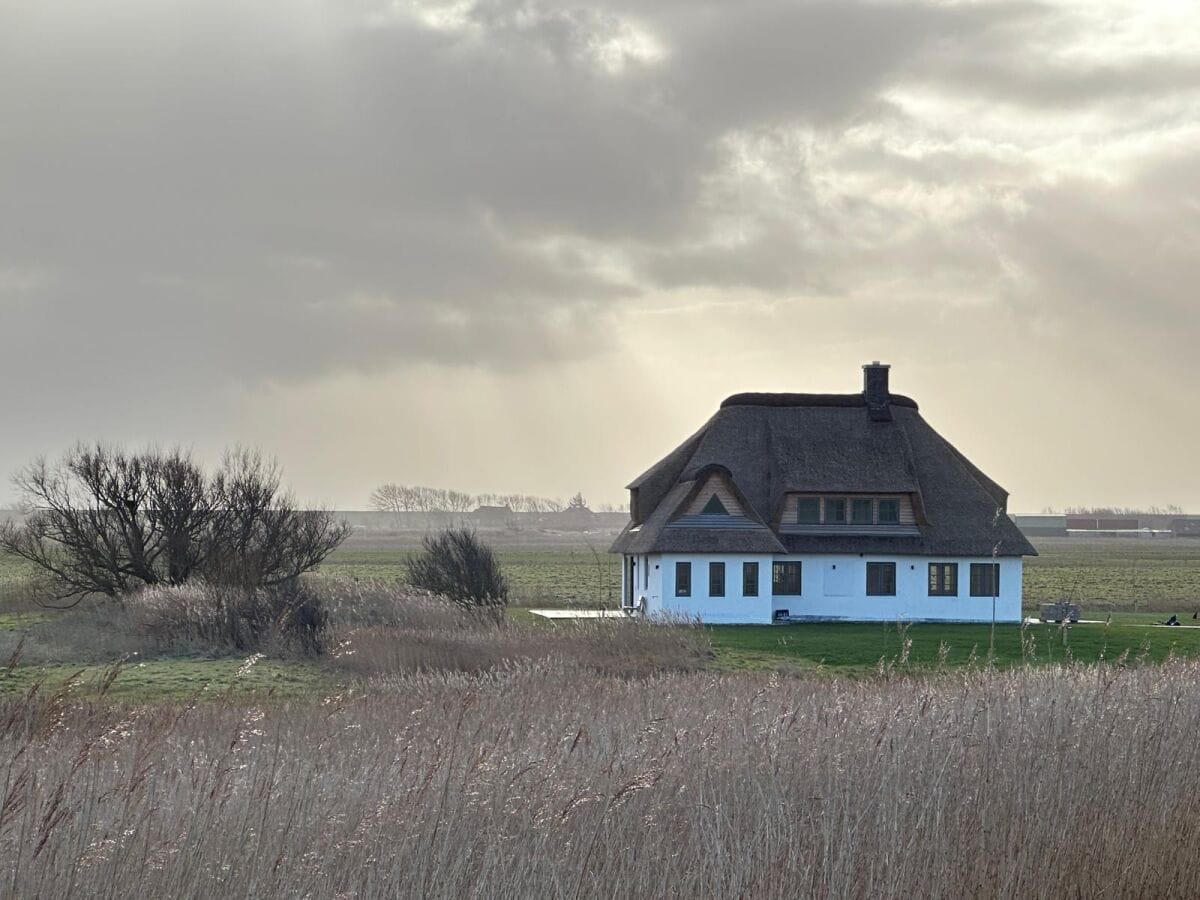 Urlaub in Westerhever direkt an der Nordsee