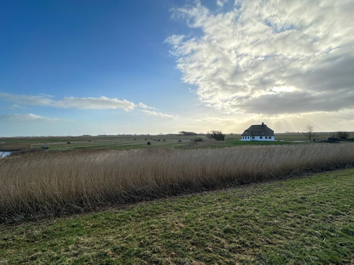 Das Haus liegt direkt am Weltnaturerbe Wattenmeer