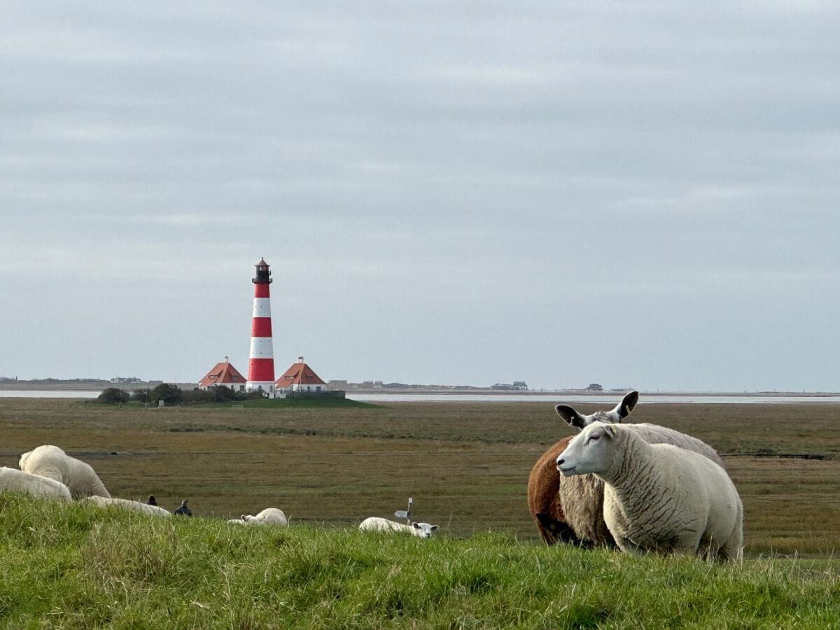 Vom Haus zu Fuß zum Leuchtturm gehen