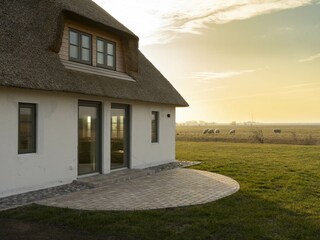 Dreamlike thatched-roof house in a secluded location