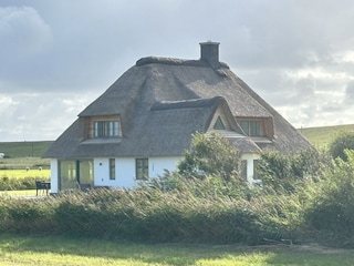 Das Meergut: neu renoviertes Haus mit größtem Komfort