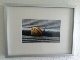 Casa per le vacanze Zierow  38