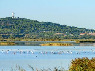 Appartement Cap d'Agde Environnement 22