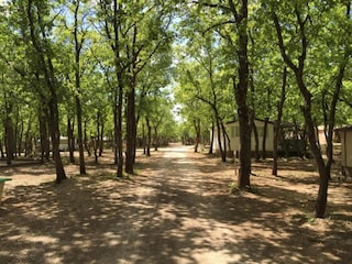 Ferienpark Saint-Saturnin-lès-Apt Umgebung 15